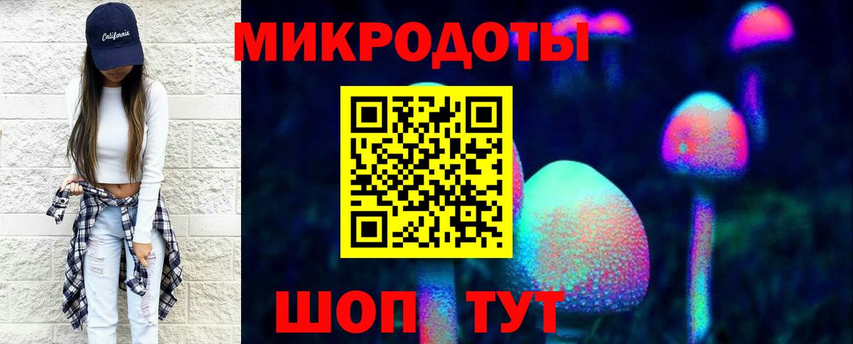 Галлюциногенные грибы мухоморы  Вход с VPN  Артём  Псилоцибиновые грибы Psilocybine cubensis 